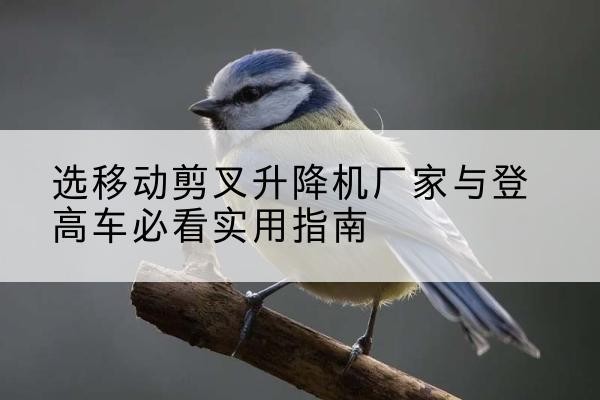 汇川电动升降机厂家-选移动剪叉升降机厂家与登高车必看实用指南