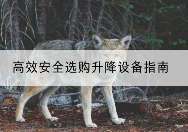 汇川升降货梯厂家推荐-*安全选购升降设备指南